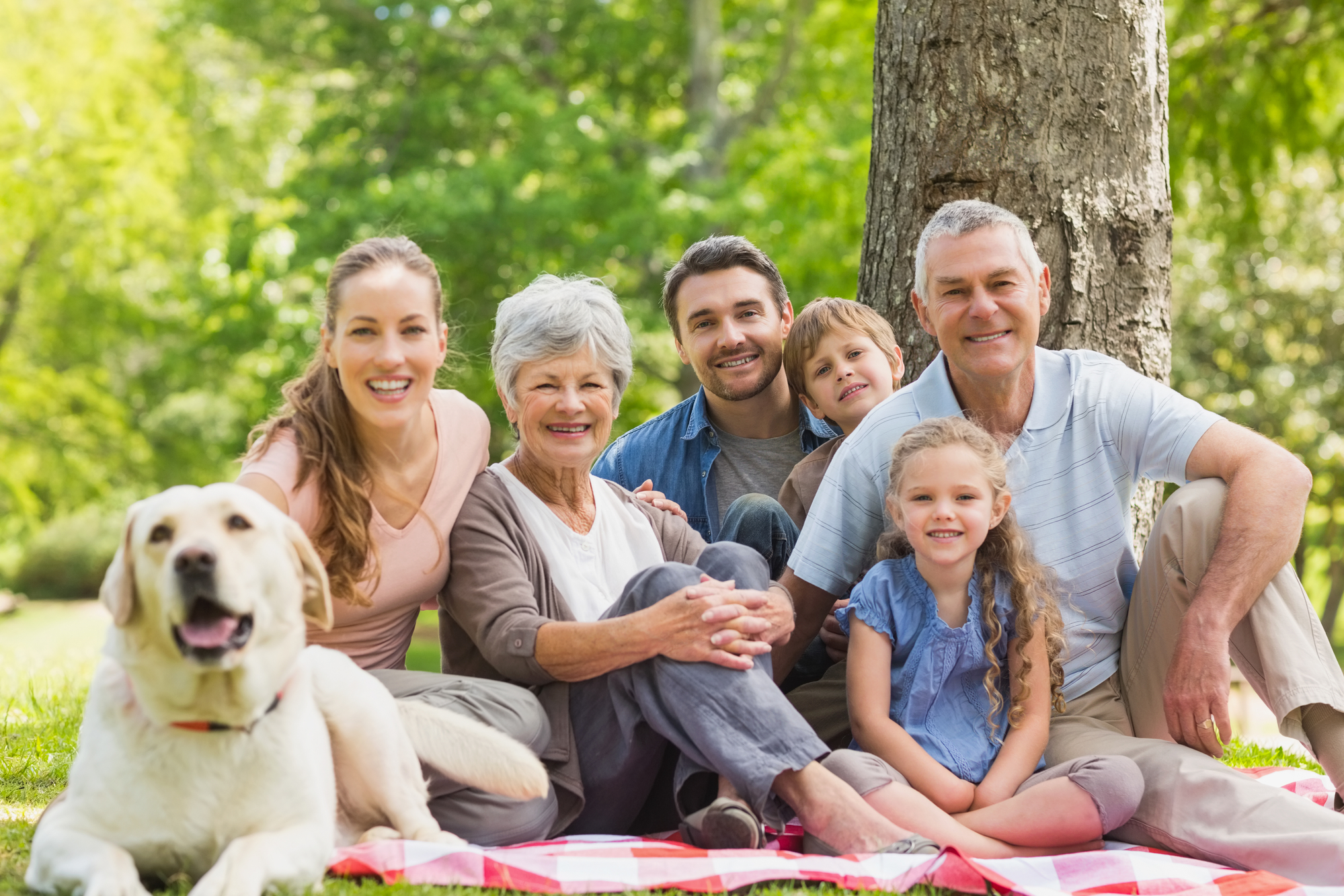 How to Choose the Best Family Dental Clinic in Mission, BC