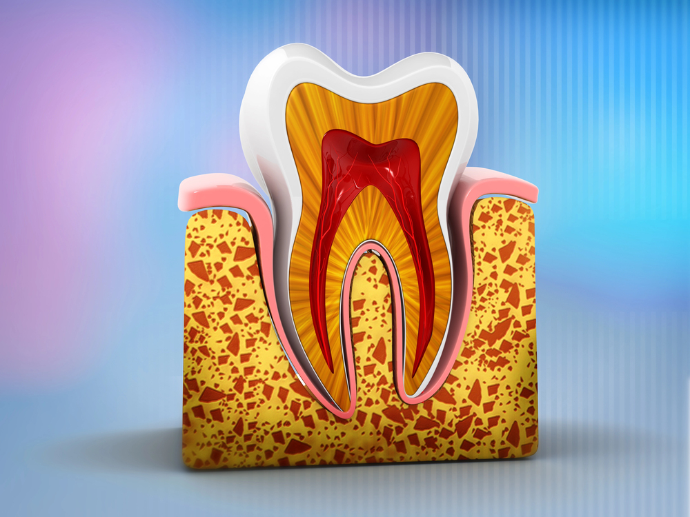 Ask a Mission, BC, Dentist: What’s the Difference Between Restorative and Regenerative Dentistry?